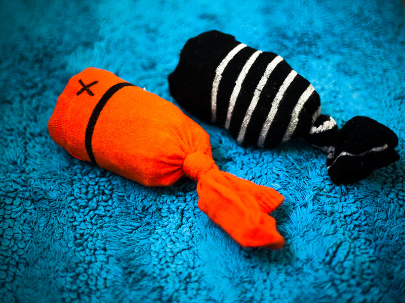 sock fish cat toy