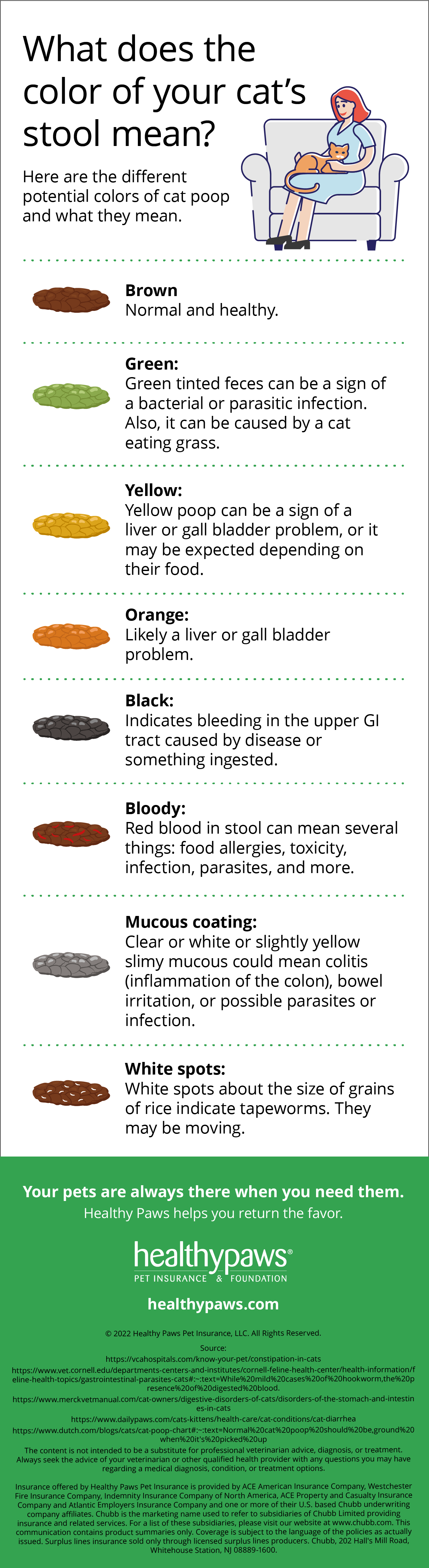 a guide to healthy cat poop healthy paws pet insurance