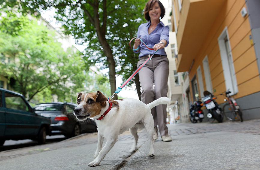 Woman being pulled by her dog.