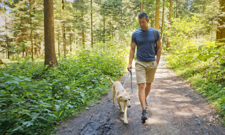 Man walking a dog in the woods. 