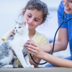 little girl with cat at the vet