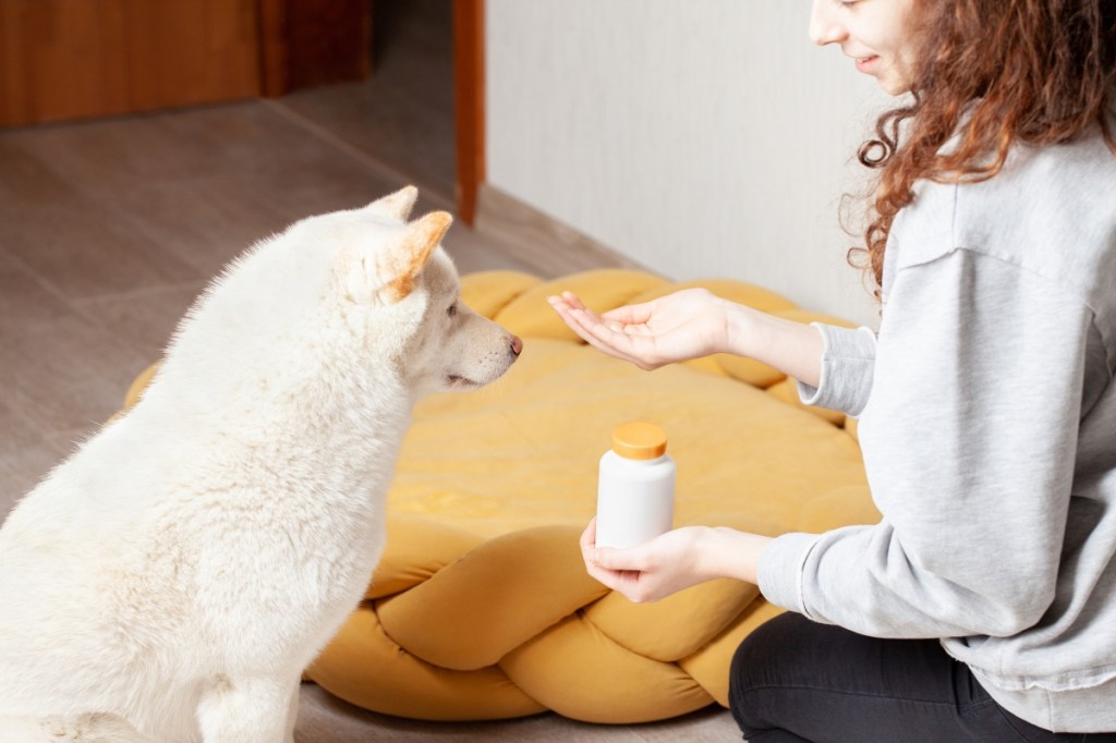 woman giving white dog a pill