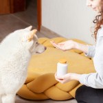 woman giving white dog a pill