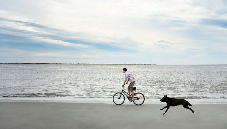 Cyclist on a beach with dog running behind.