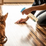 person cleaning cat stain on floor