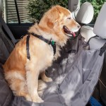 dog sitting on car seat cover
