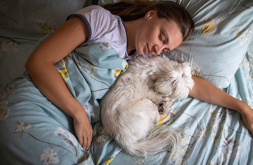 Dog sleeping with woman