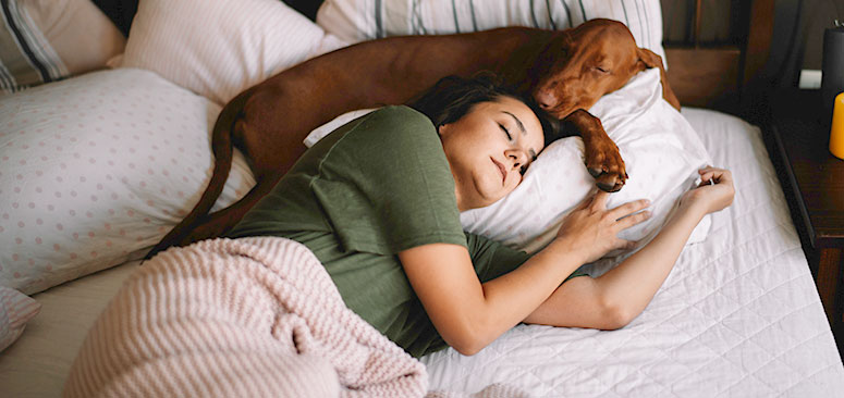 Dog sleeping with woman