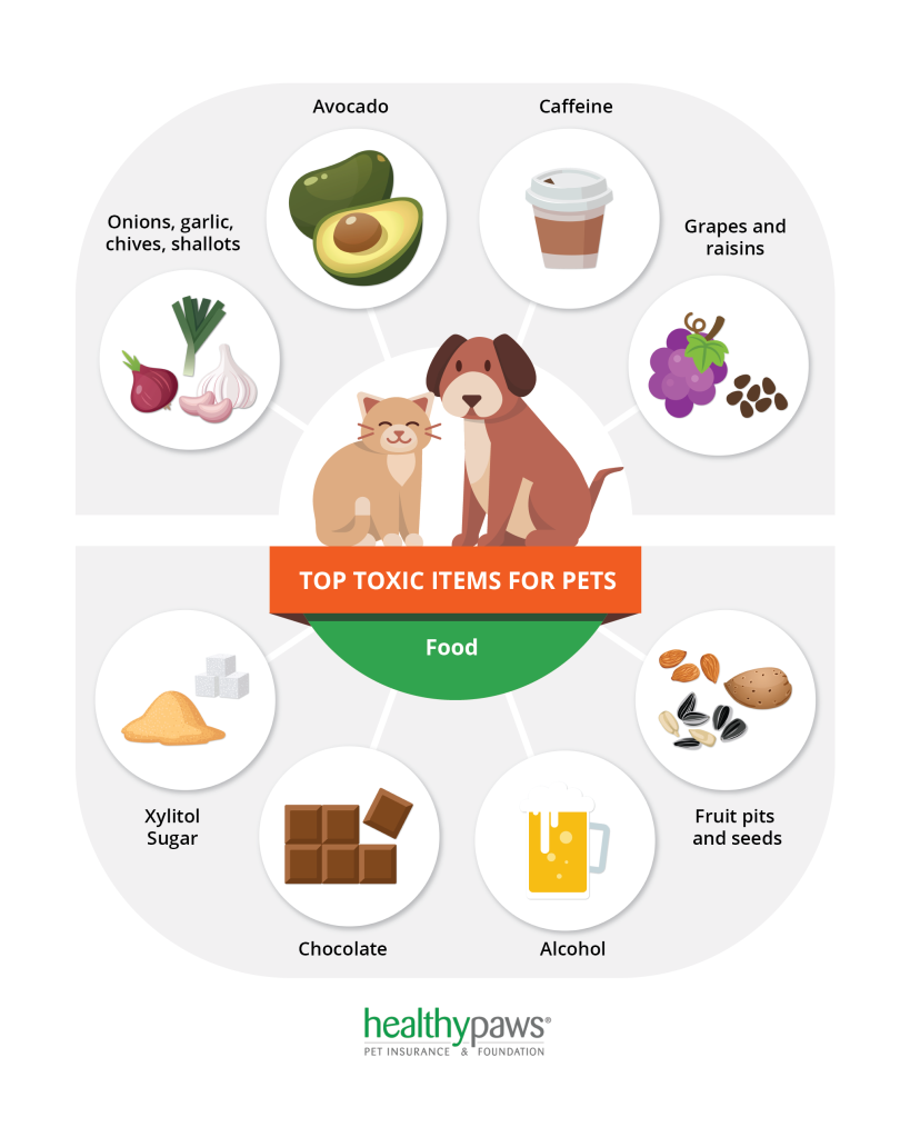 Infographic - top toxins for pets