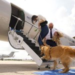 A dog boarding a BARK Air flight