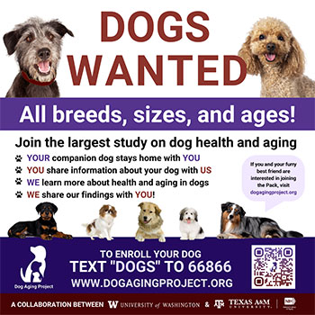 Ad for dogs to join dog aging project