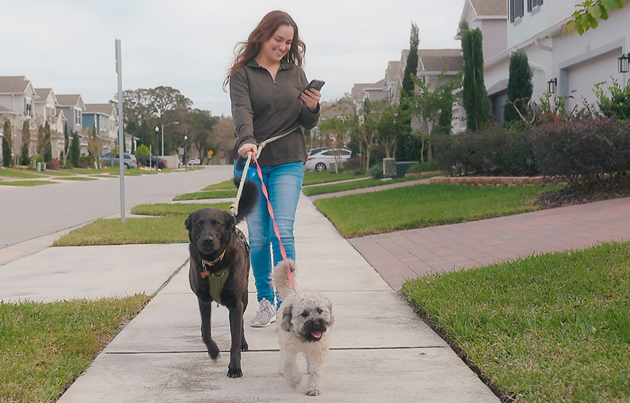 Woman on phone while walking dog.