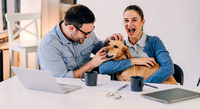 Employees happy with a dog.