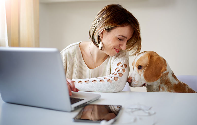 Woman on computer with a dog.