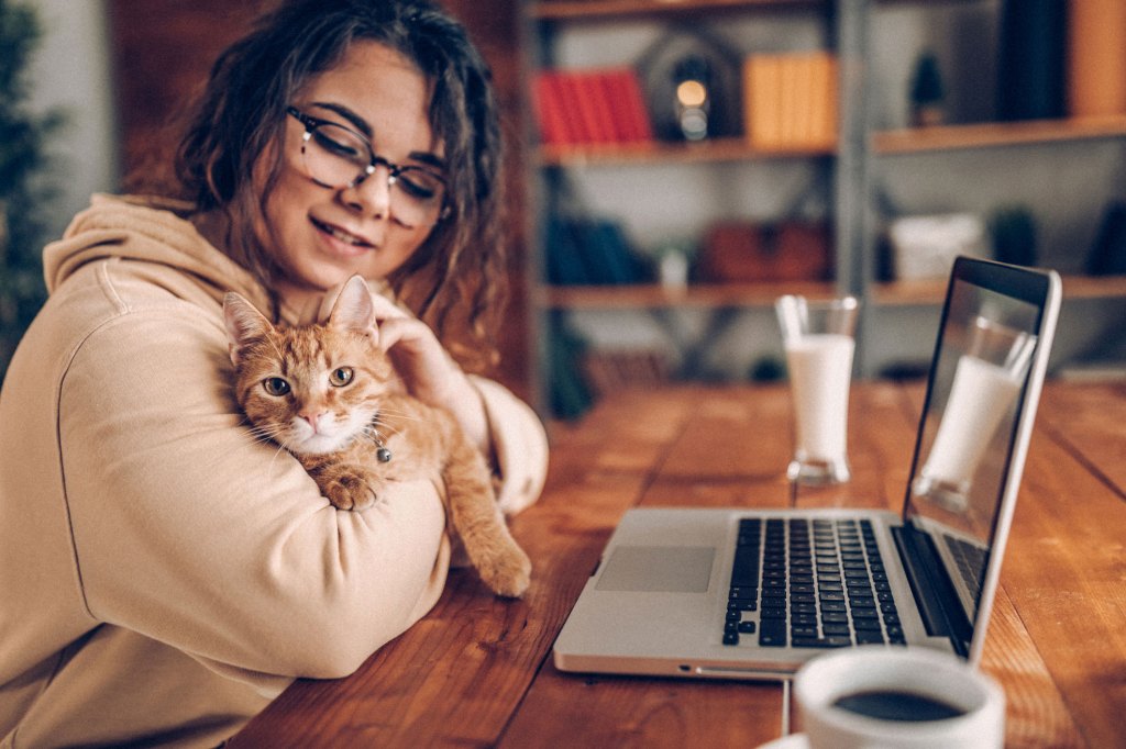 Woman on computer with a cat