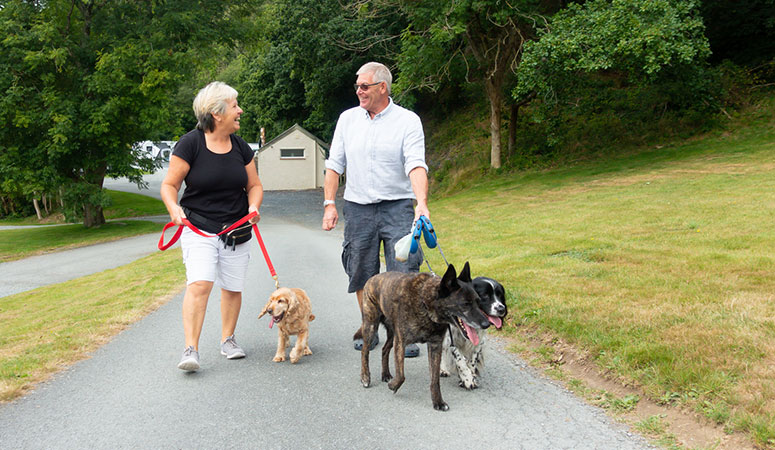 Two people walking dogs