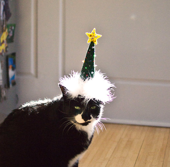 cat christmas tree hat