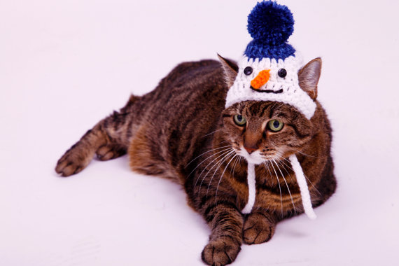 cat Christmas hat