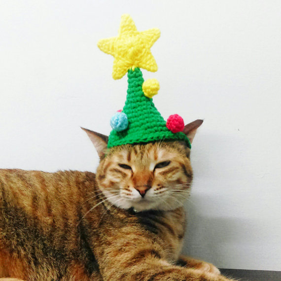cat Christmas hat