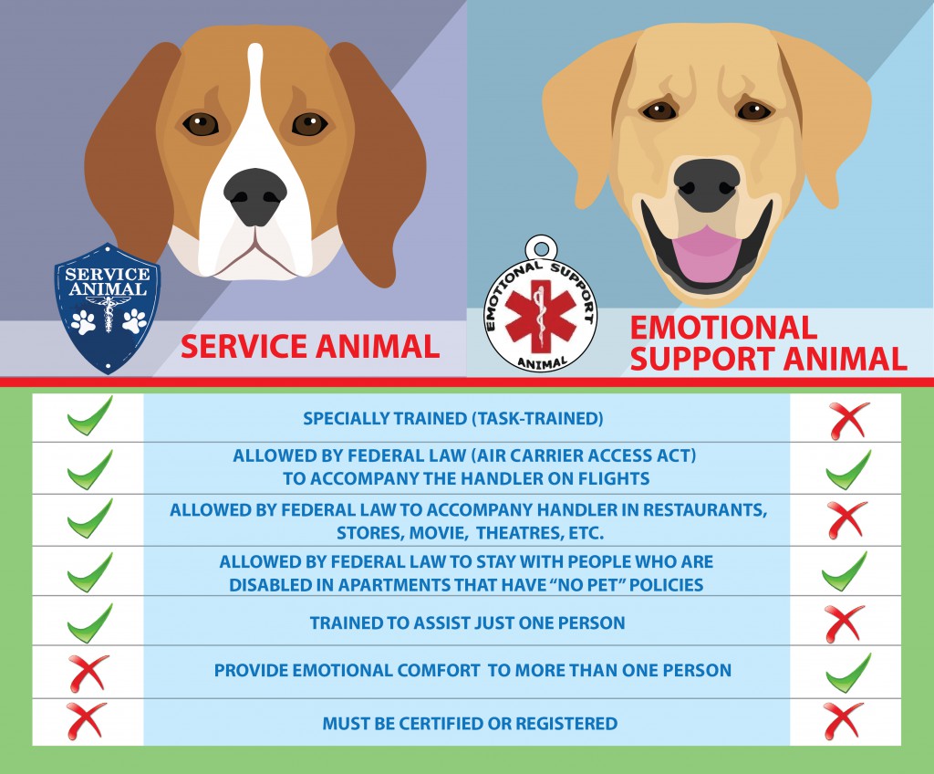 Service-Dog-vs. ESA infographic