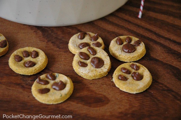 dog cookie recipes