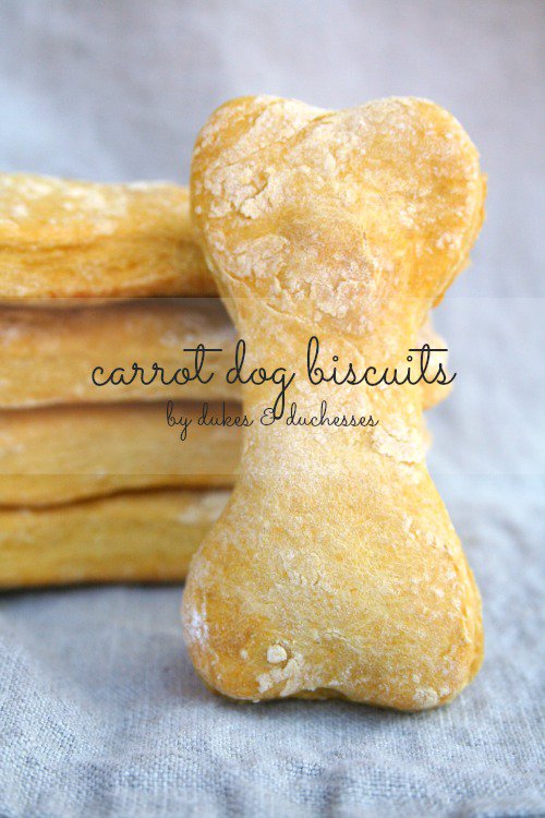 dog biscuit recipes