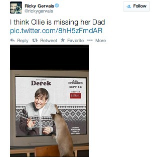 Ricky Gervais Twitter Cat Ollie Pet Adoption
