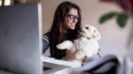 employee benefits pet perks