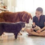 girl on the floor with two dogs and a cat