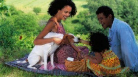 Family having picnic with a dog