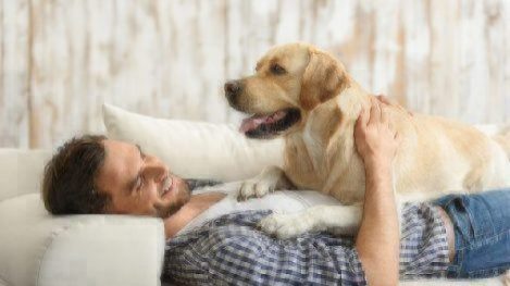 best dogs for apartments