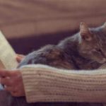 introvert reading with a cat