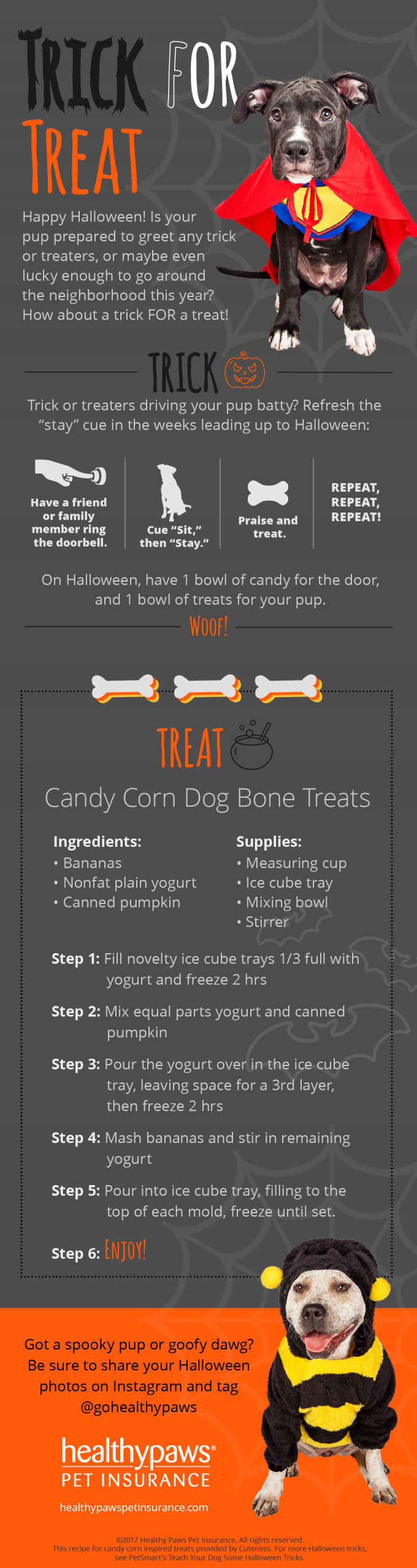 healthy paws halloween