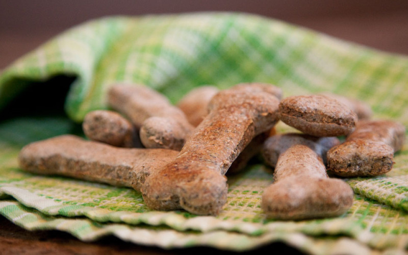 homemade dog biscuit recipe