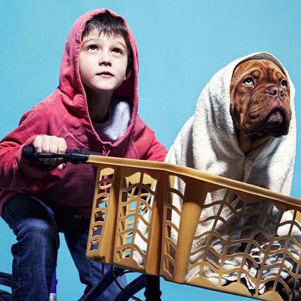 E.T. Halloween costumes for dogs and kids
