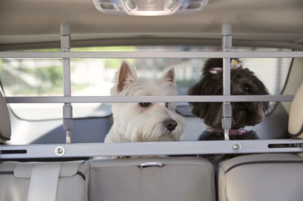 dog car seat barrier