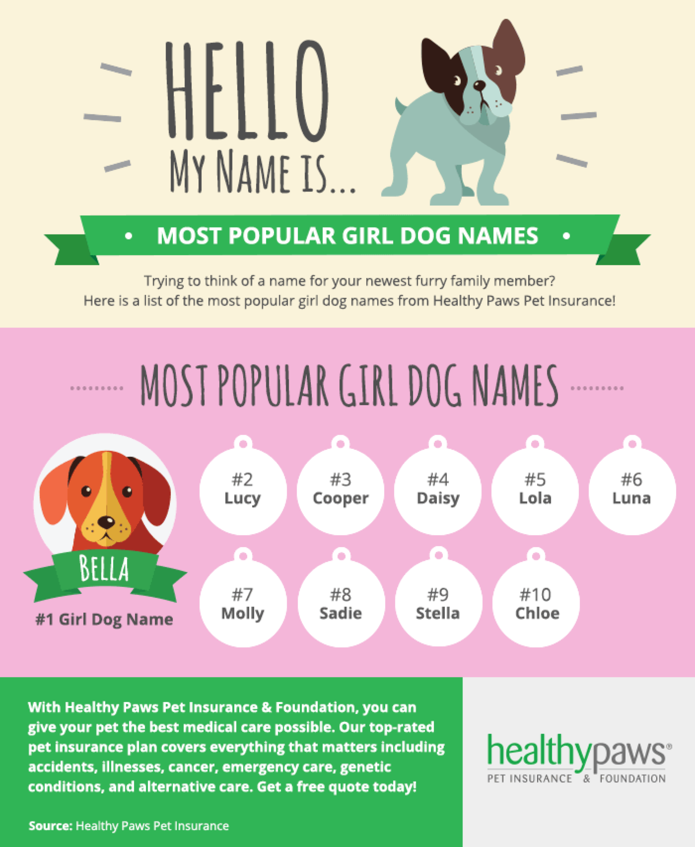 Most Popular Girl Dog Names Healthy Pet Insurance