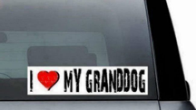 grandparents bumper sticker granddog