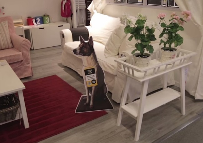 IKEA dog sign