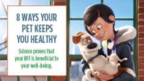 Pets Make You Healthy