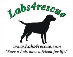 Labs4Rescue logo