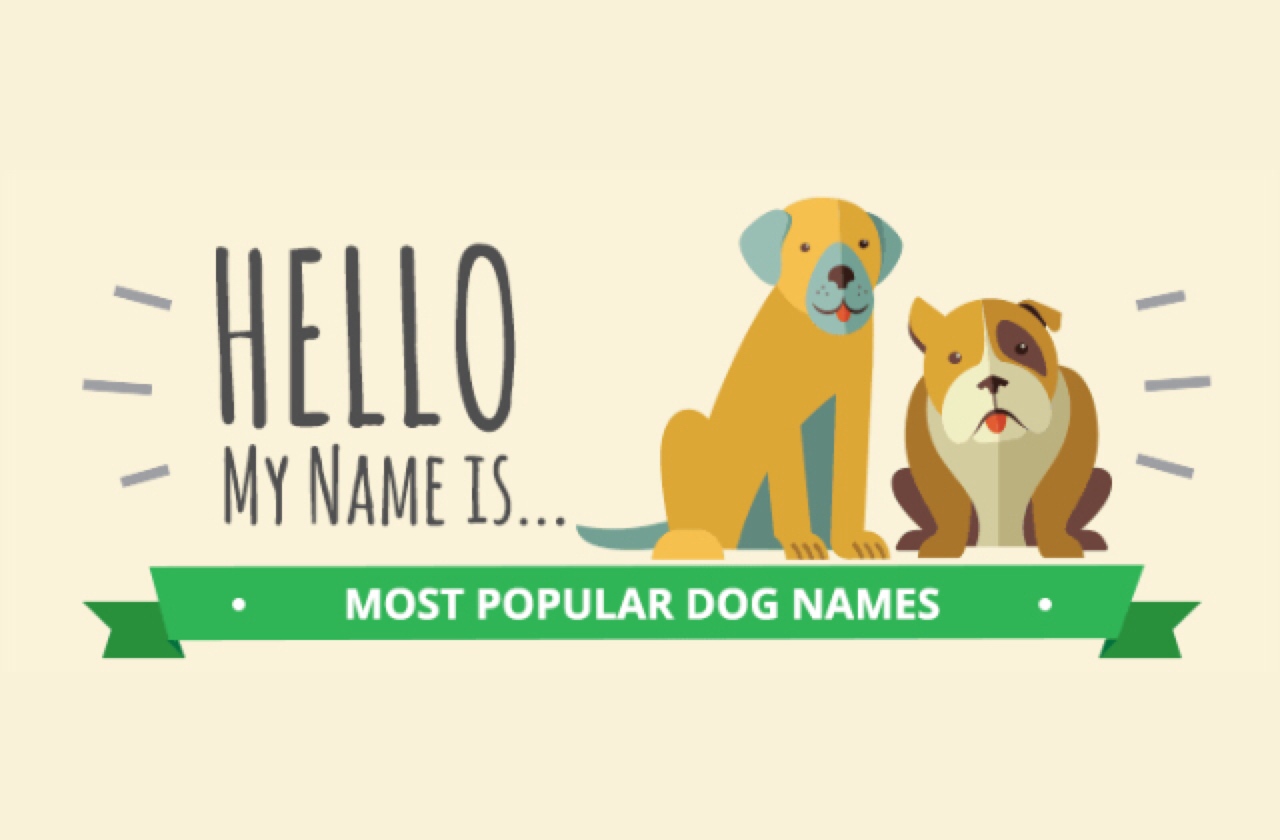 most popular dog names graphic