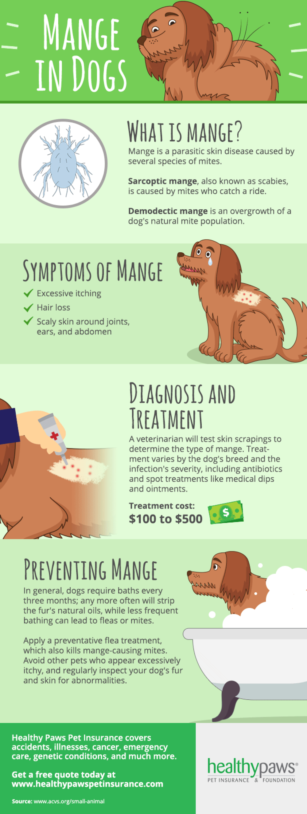 mange in dogs infographic