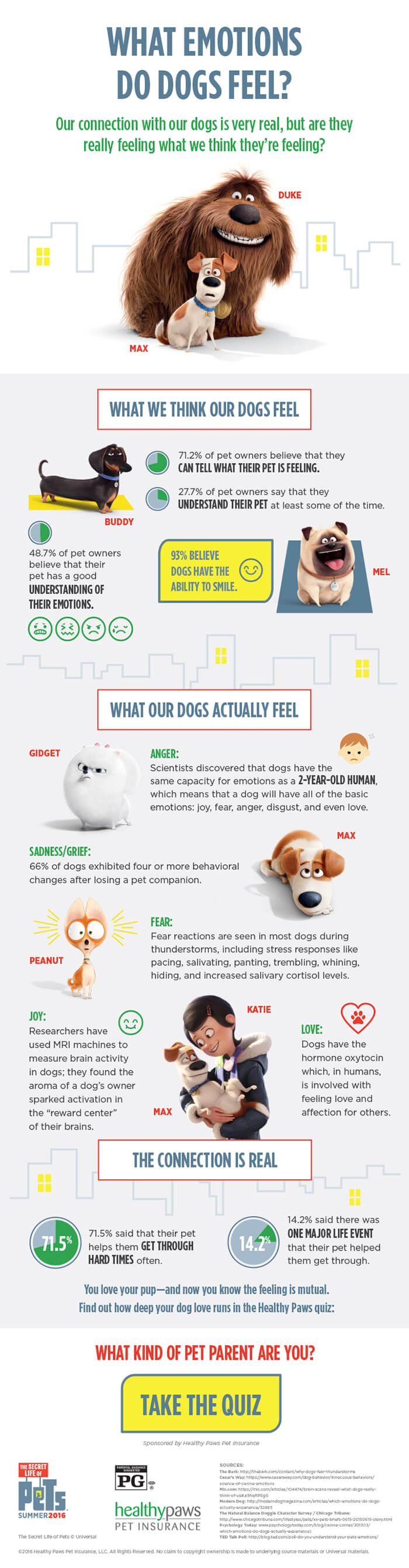 what-emotions-do-dogs-feel