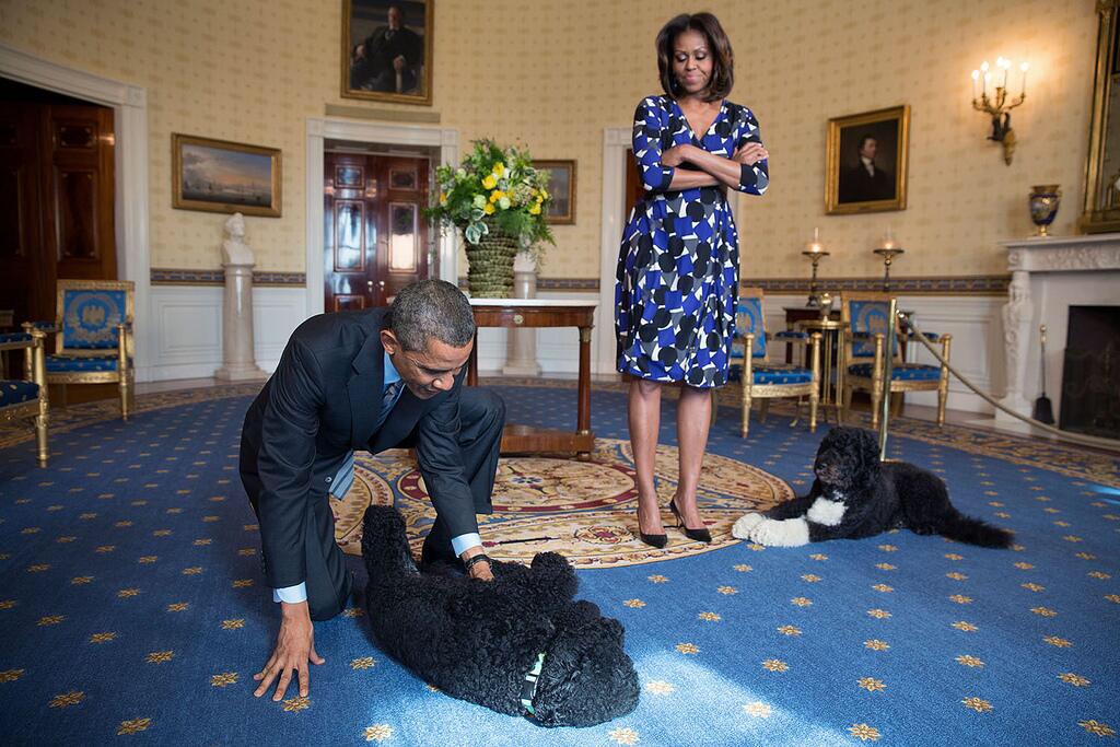 Obama Portuguese water dog